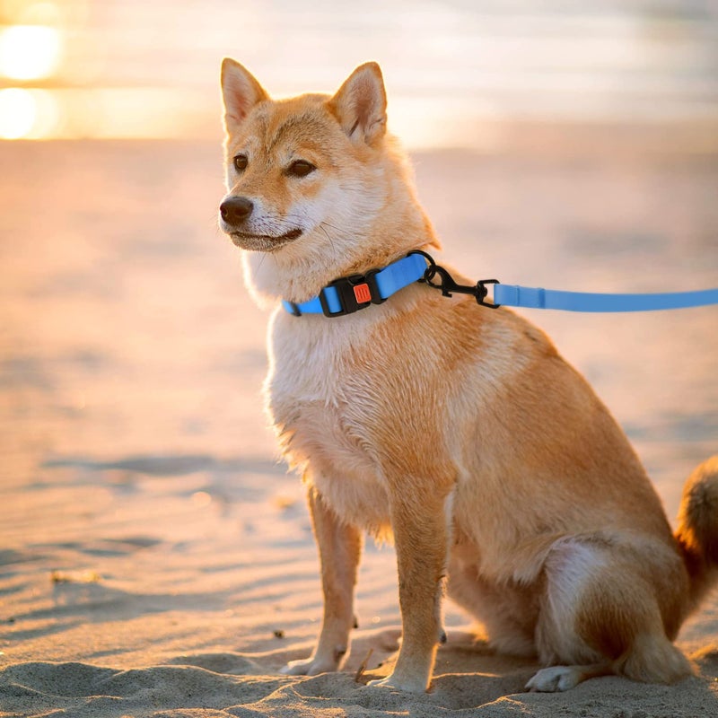CollarDirect Waterproof Dog Leash Small Medium Large Durable Pet Leashes for Walking Training Running Pink Black Blue Orange Green (L, Blue) - Image 2